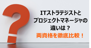 ITストラテジストとプロジェクトマネージャの違いは？
両資...